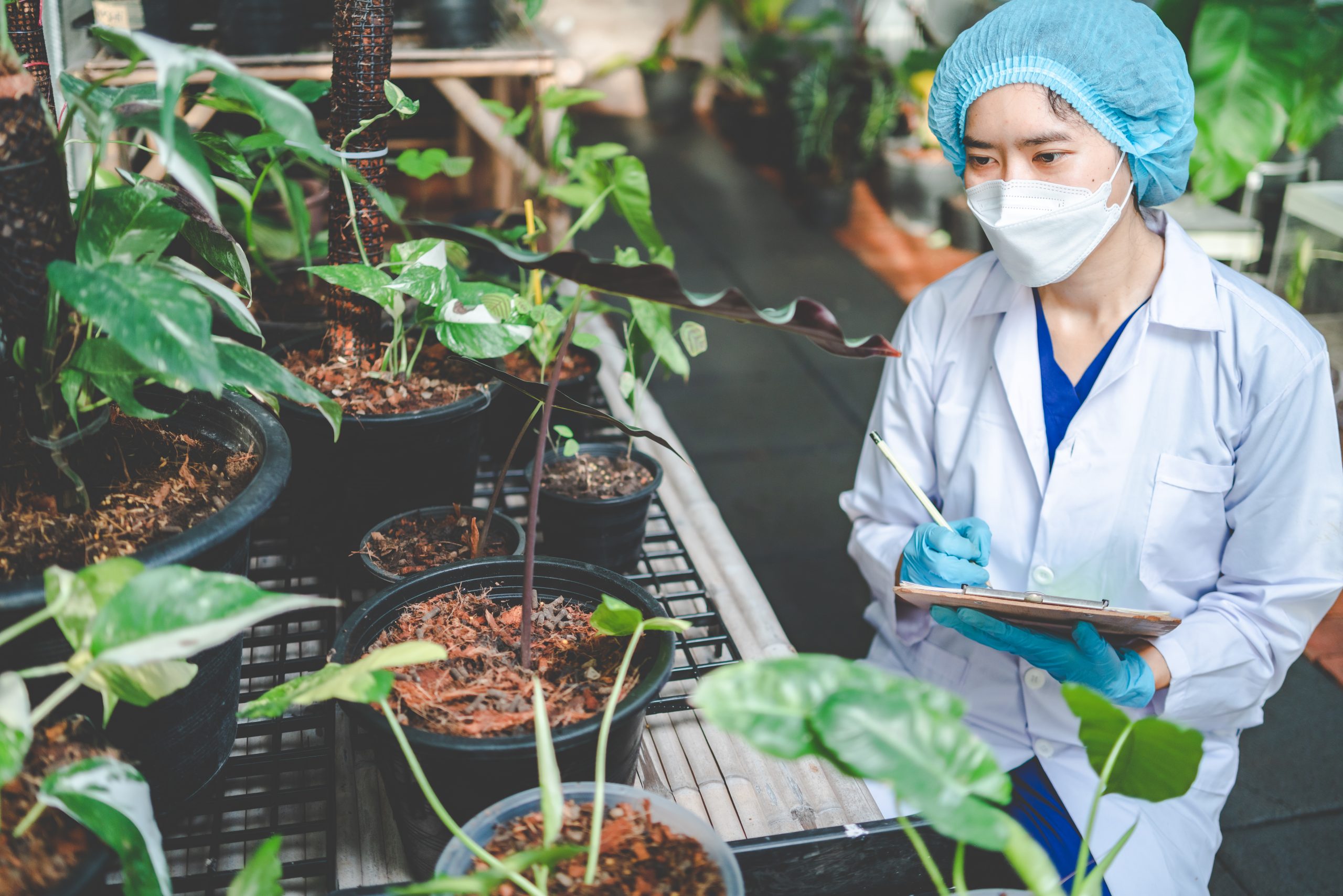 fertilizer-industry-benchmarking-services-scaled