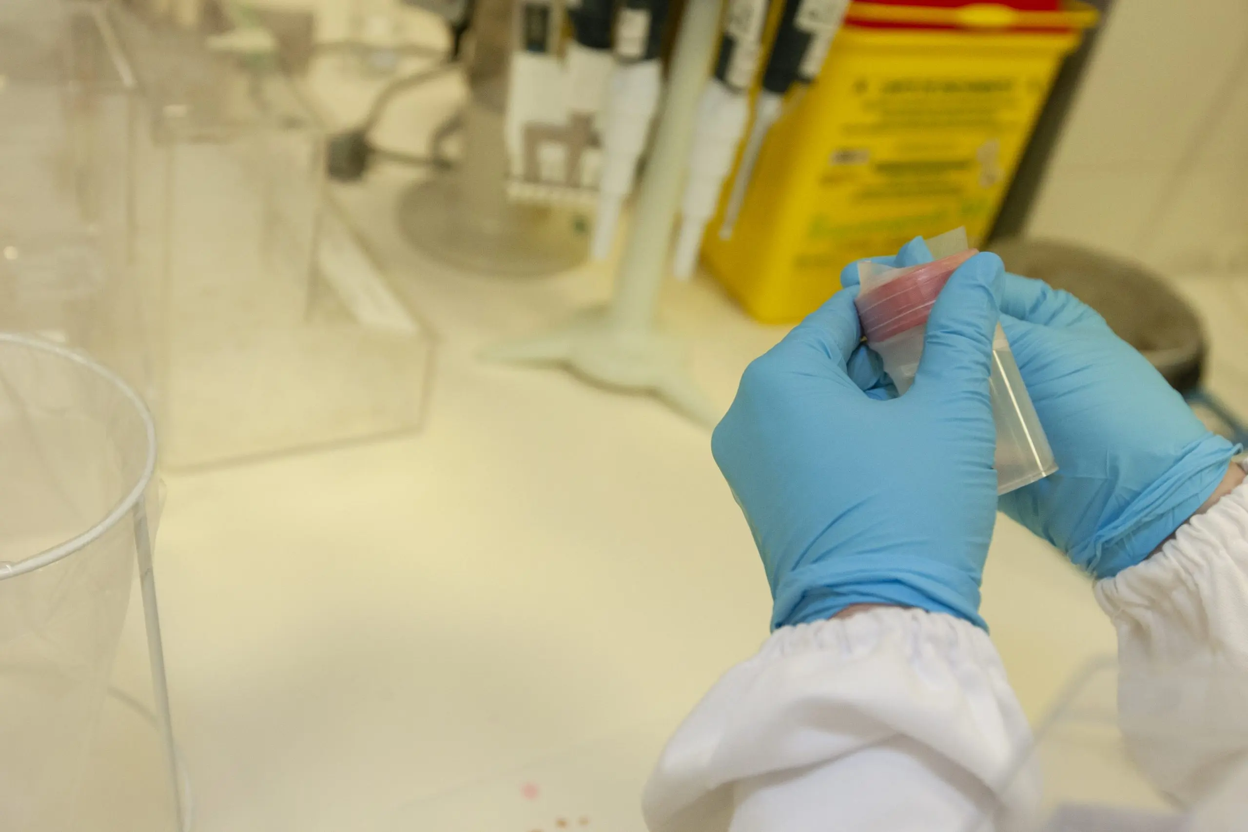 USA Urine Sediment Microscopes Market Outlook 2035 midsection-man-working-table-scaled