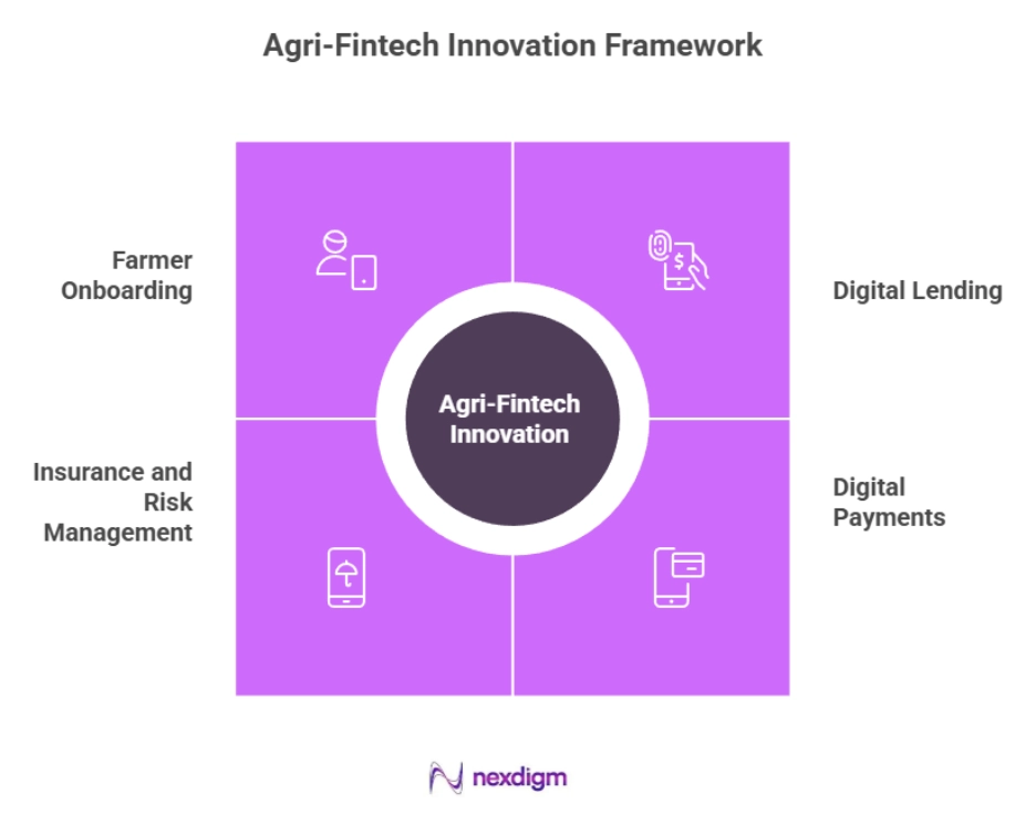 Agri-Fintech Innovation Frameworks