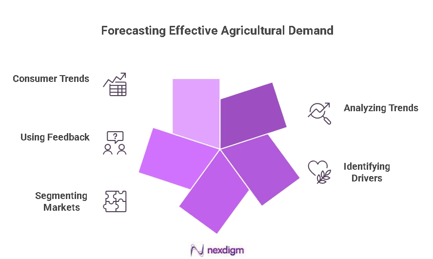 Agricultural Demand Forecasting
