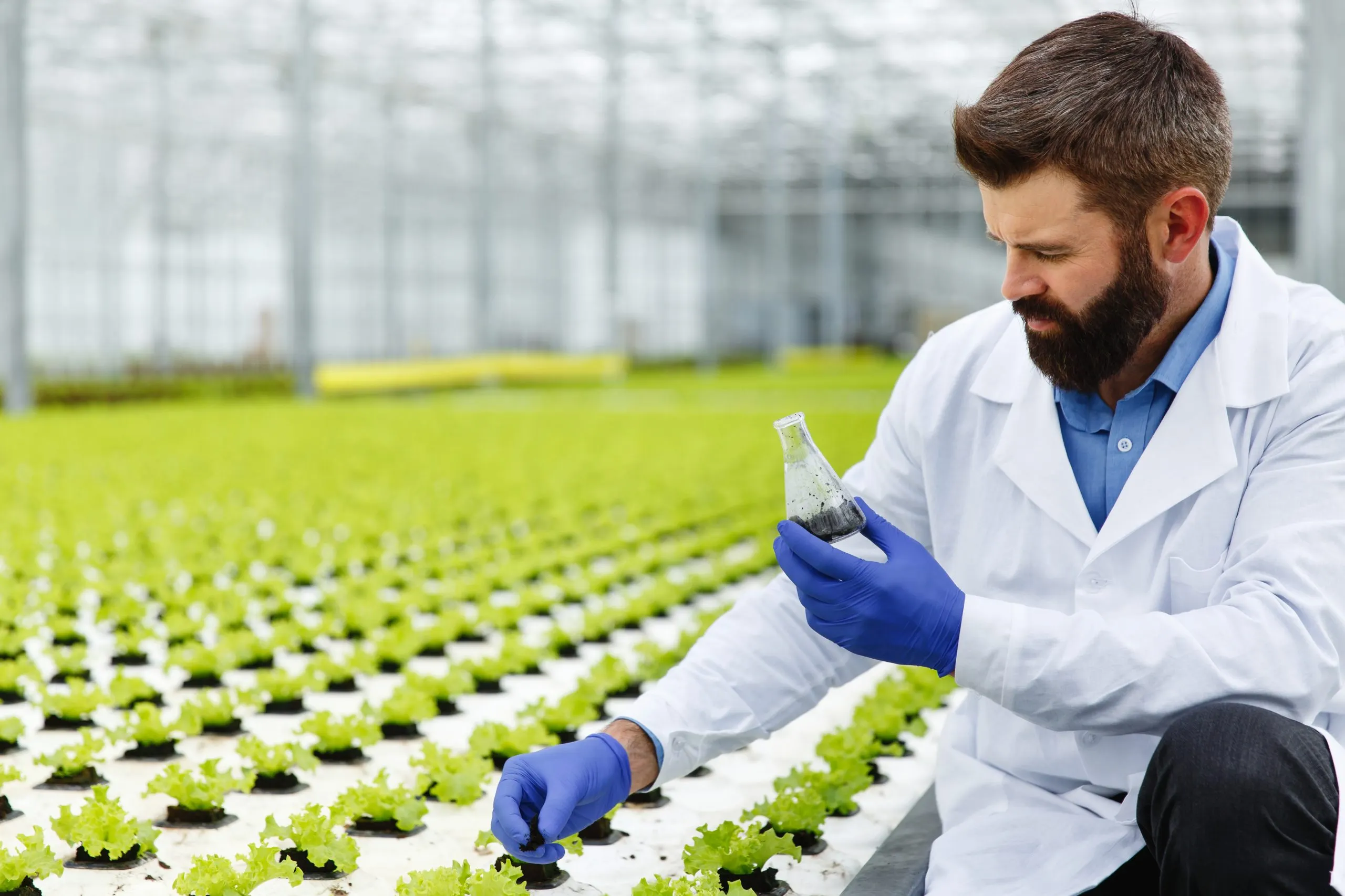 How Commodity Pricing Intelligence Supports Risk Management Across Agriculture Markets Agricultural-commodity-pricing-intelligence-scaled
