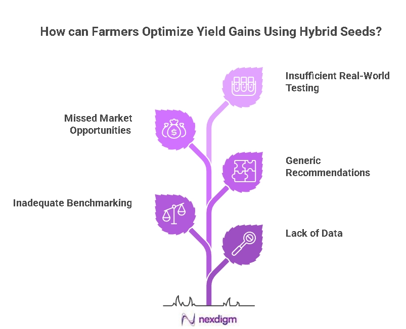 Agriculture Hybrid Seeds Benchmarking