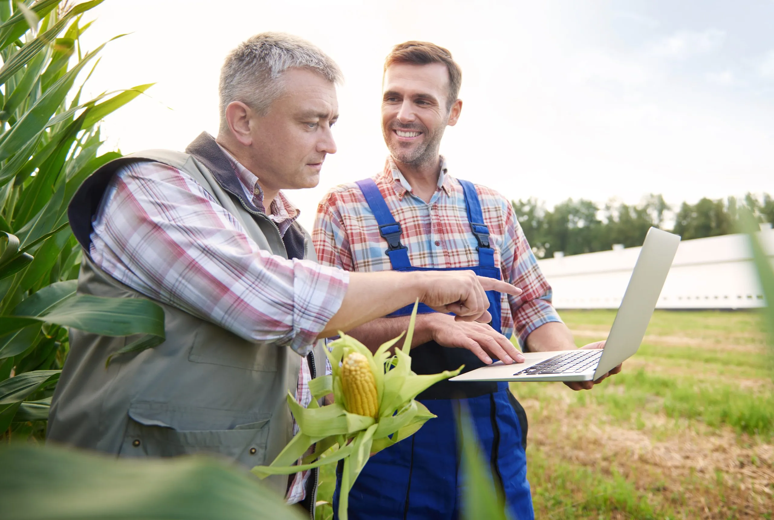 How Competition Is Intensifying Across Agriculture Markets Facing Input and Supply Chain Pressures Agriculture-competitive-review-scaled