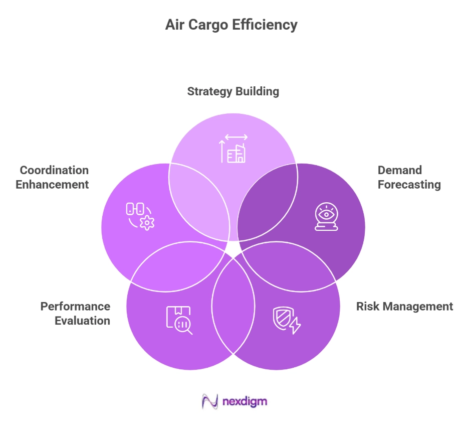 Air Cargo Network Efficiency