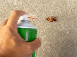 Brazil Insect Repellent Market Outlook to 2035