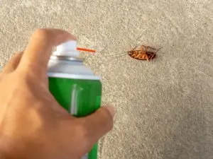 Brazil Insect Repellent Market Outlook to 2035