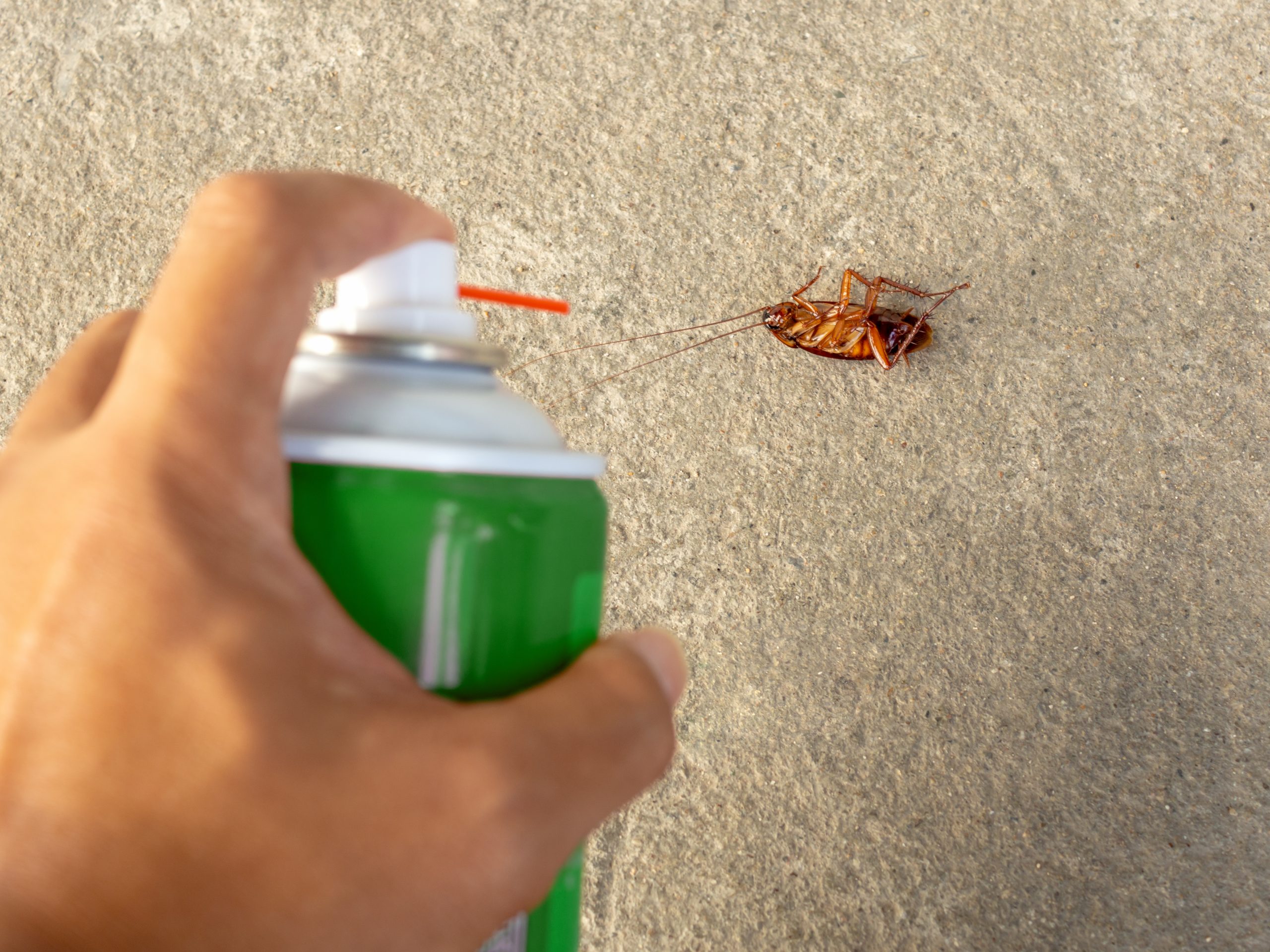 Brazil-Insect-Repellent-Market-scaled