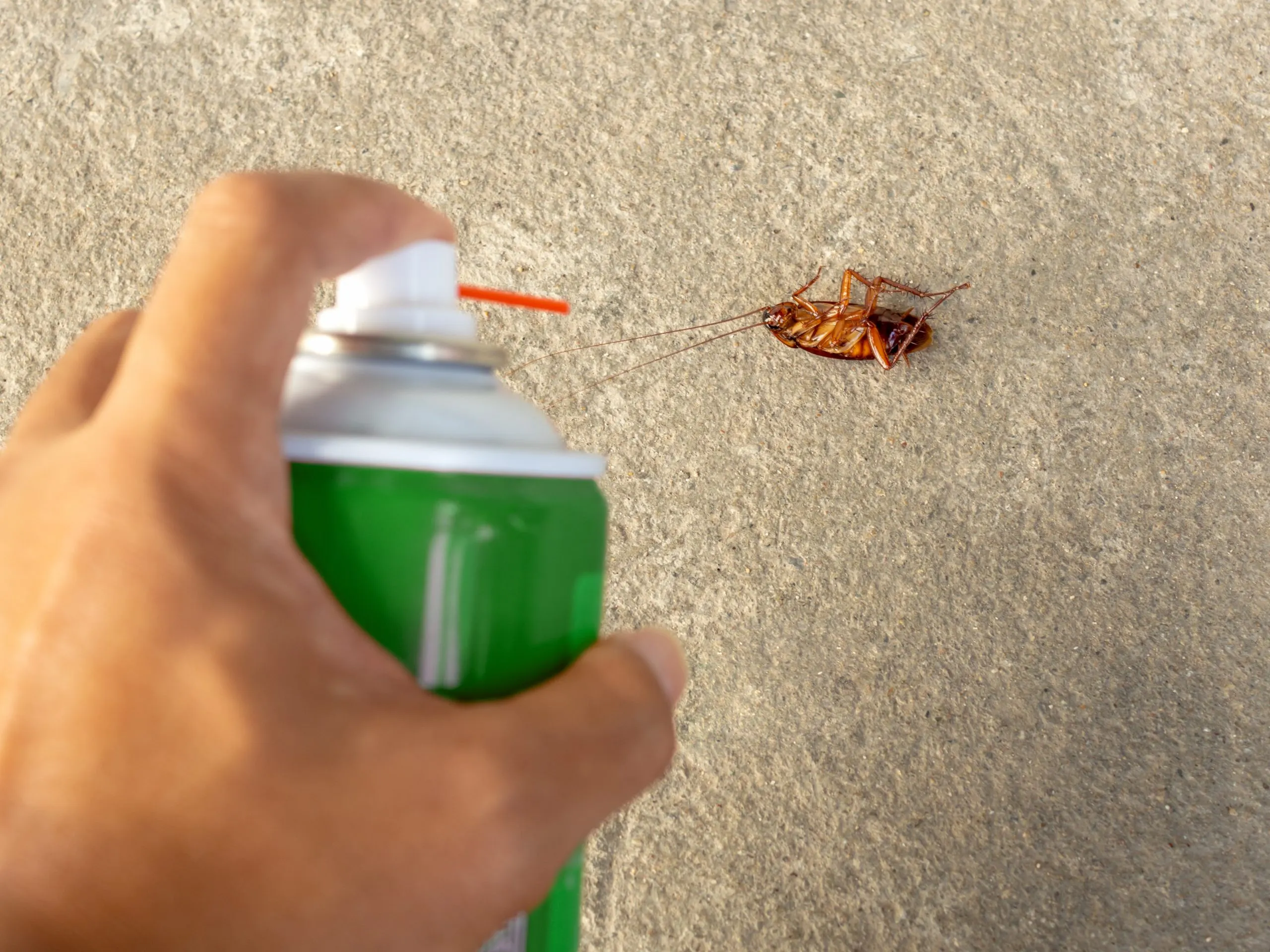 Brazil Insect Repellent Market Outlook to 2035 Brazil-Insect-Repellent-Market-scaled