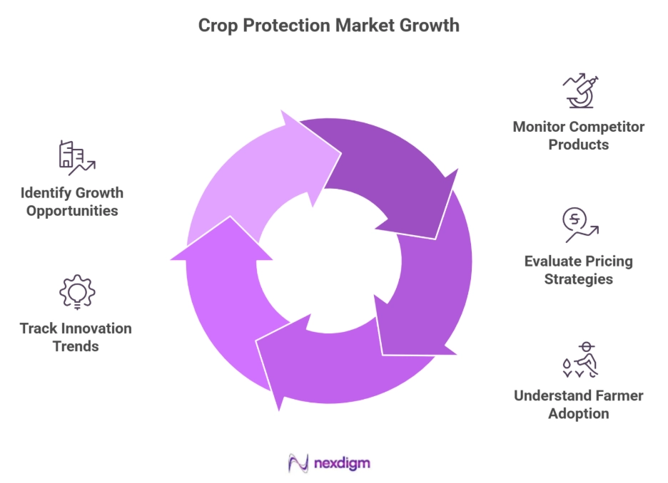 Chip Protection Pricing Intelligence