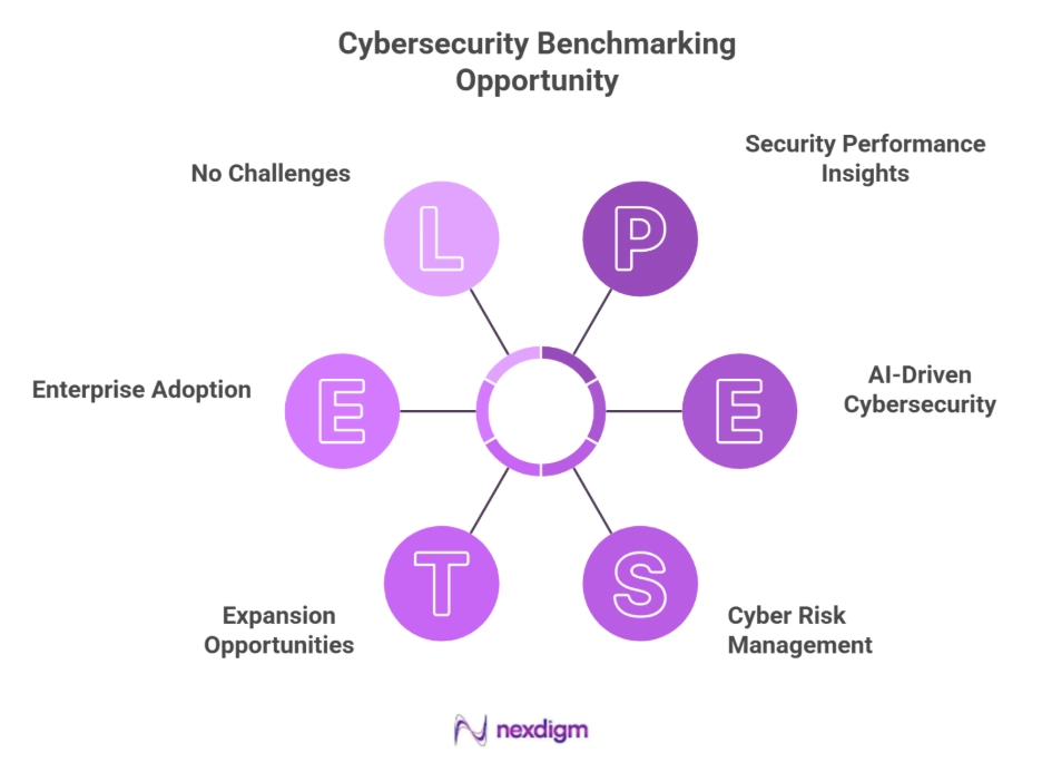 Cybersecurity Benchmarking