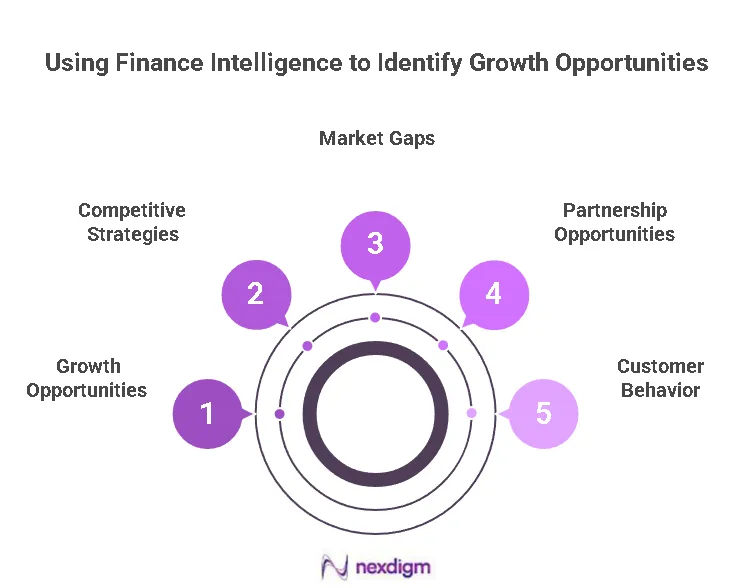 Embedded Finance Intelligence Benchmarking