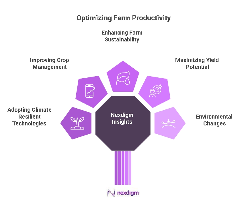 Farm Productivity Optimization