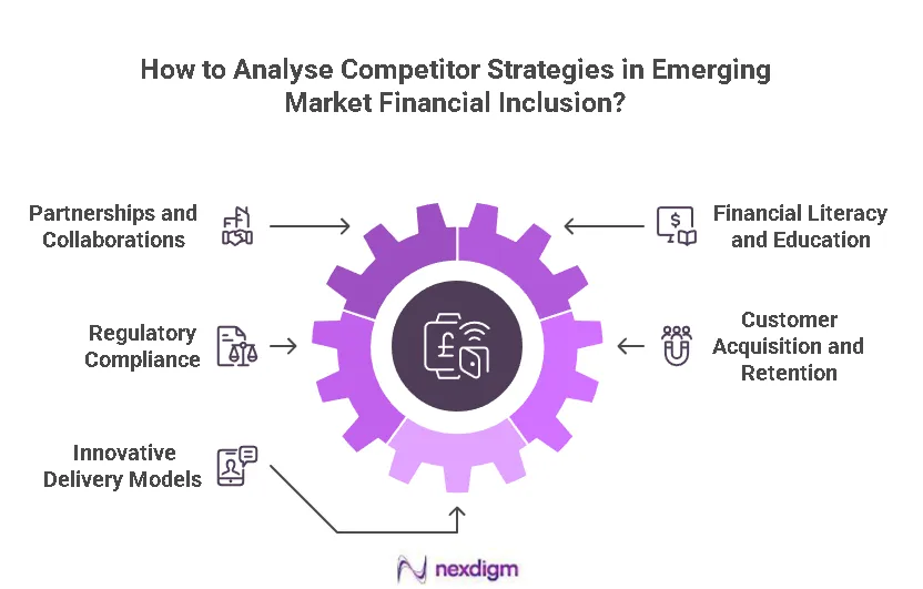 Financial Inclusion Competitor Strategies