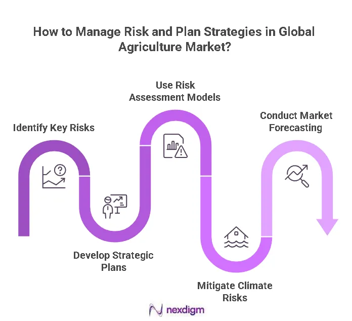 Global Agriculture Market Benchmarking