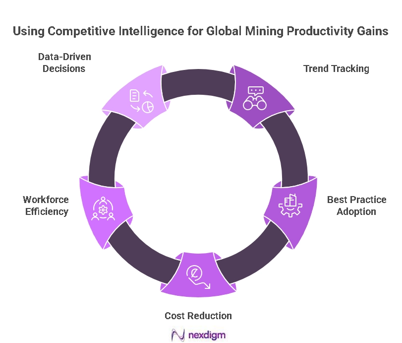 Global Mining Productivity Benchmarking
