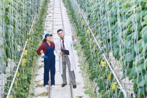 Japan Agritech Market Report outlook to 2035