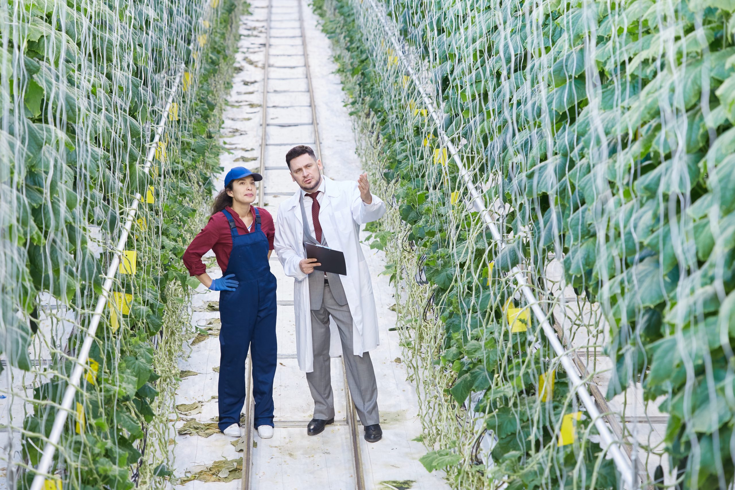 Japan Agritech Market Report outlook to 2035 Japan-Agritech-Market-scaled