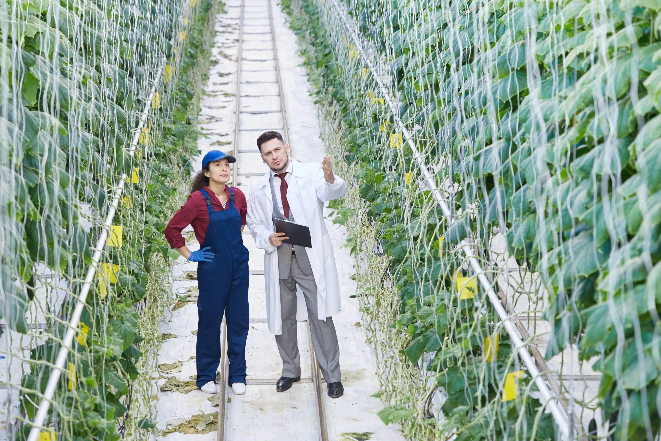 Japan Agritech Market Report outlook to 2035 Japan-Agritech-Market-scaled