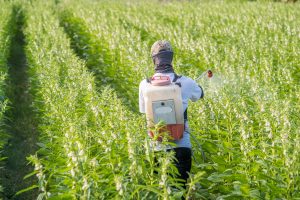 Philippines Glyphosate Market outlook to 2035