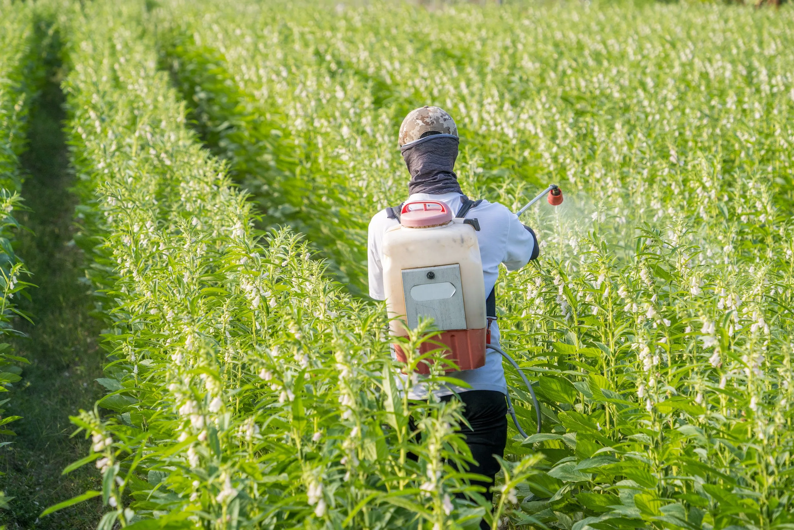 Philippines Glyphosate Market outlook to 2035 Japan-Glyphosate-Market-1-scaled