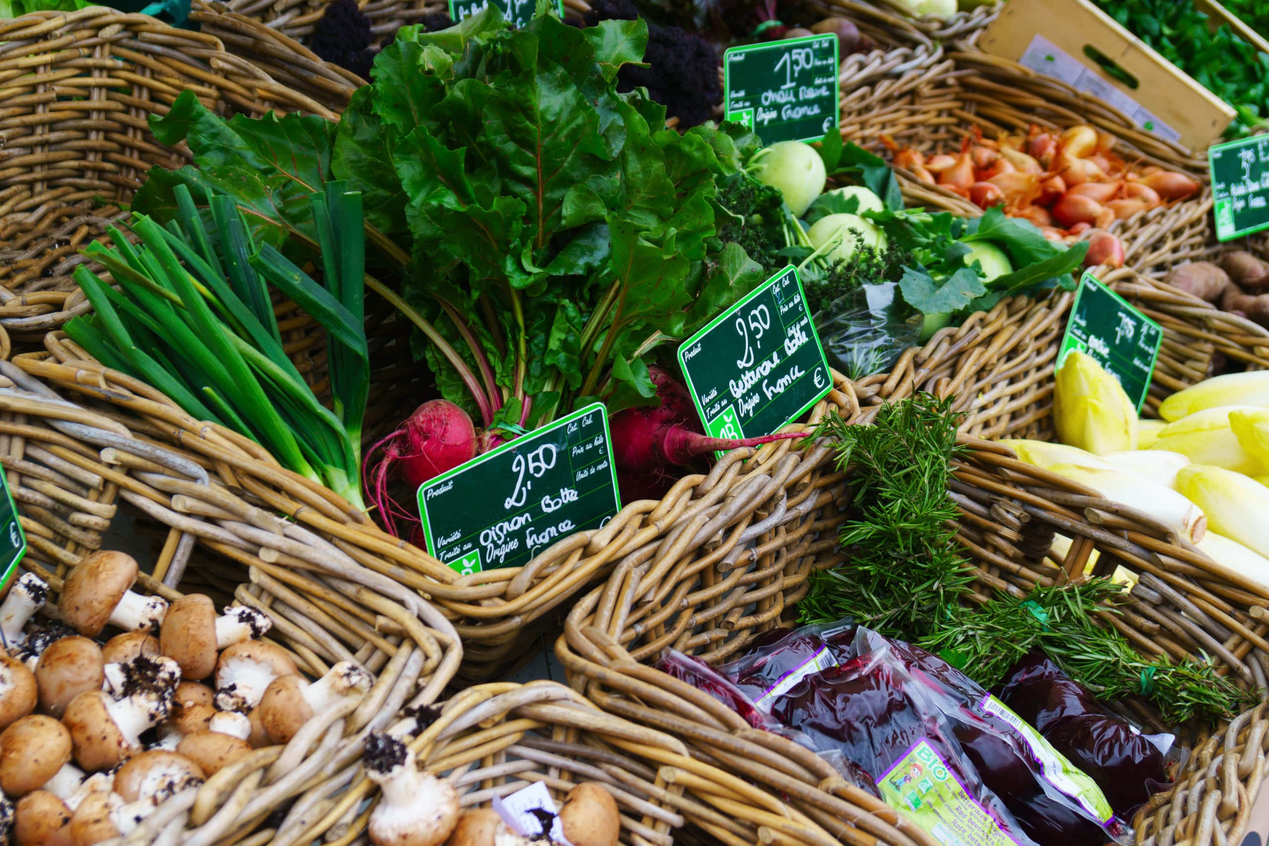 KSA Zero Waste Grocery Stores Market Outlook to 2035 KSA-Zero-Waste-Grocery-Stores-Market-scaled