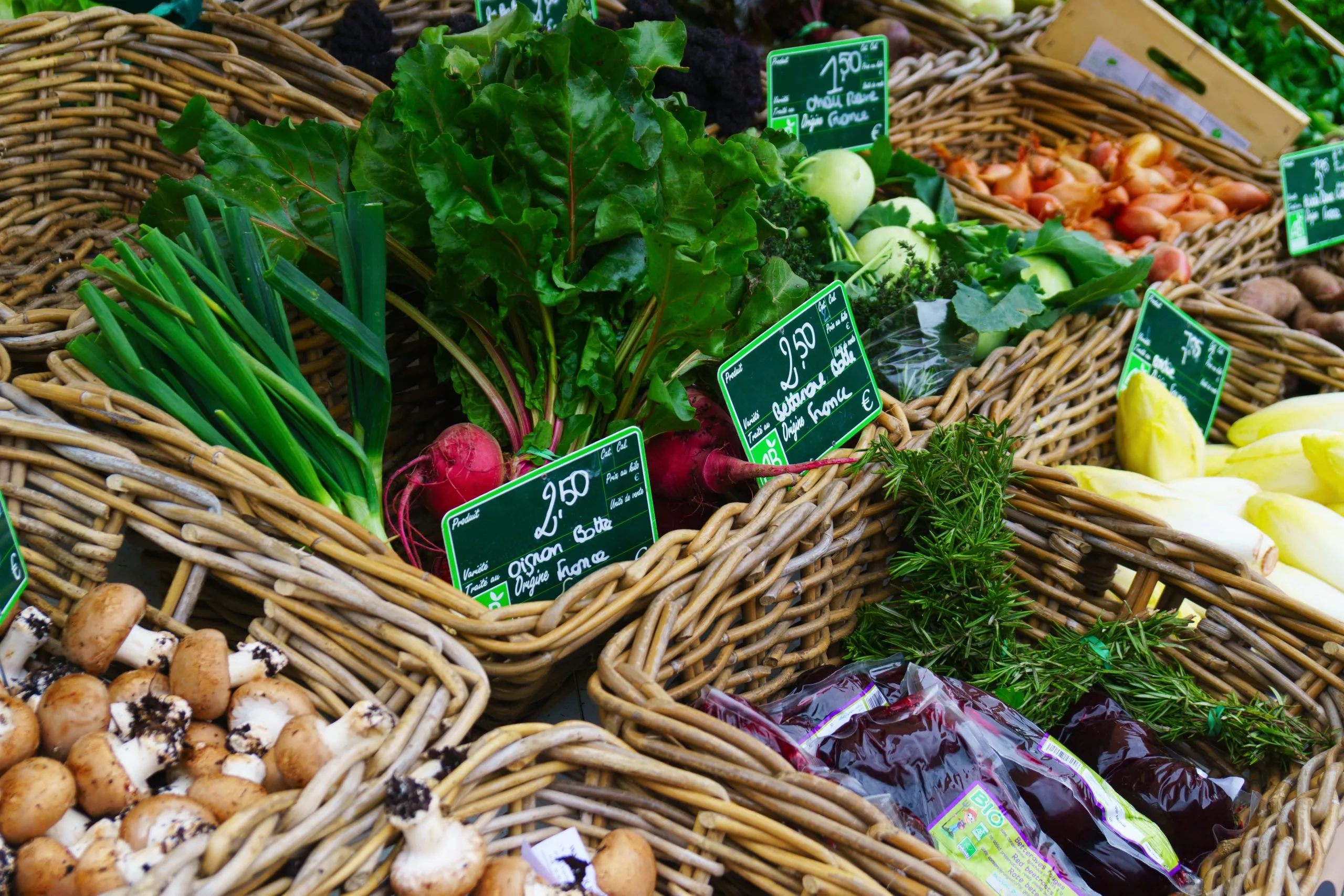 KSA Zero Waste Grocery Stores Market Outlook to 2035 KSA-Zero-Waste-Grocery-Stores-Market-scaled
