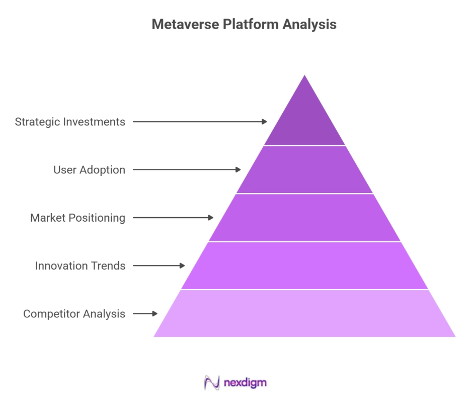 Metaverse Platform Analysis