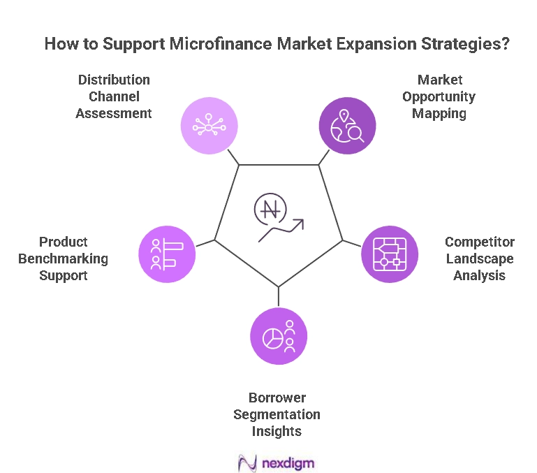 Microfinance Market Expansion Strategies