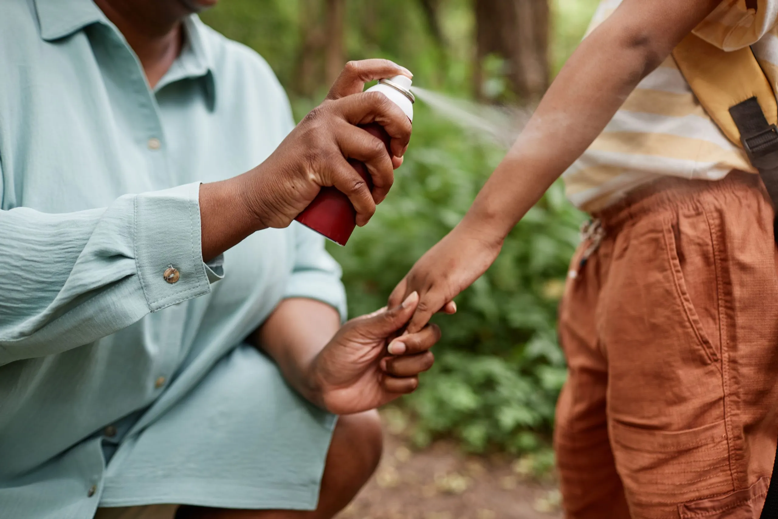 Nigeria Insect Repellent Market Outlook to 2035 Nigeria-Insect-Repellent-Market-scaled