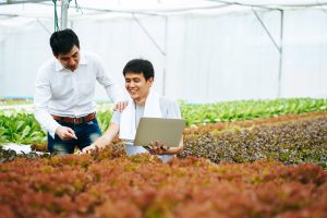 Philippines Agriculture Inputs Market report outlook to 2031