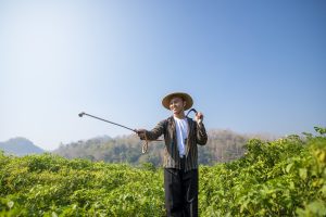 Japan Glyphosate Market outlook to 2035