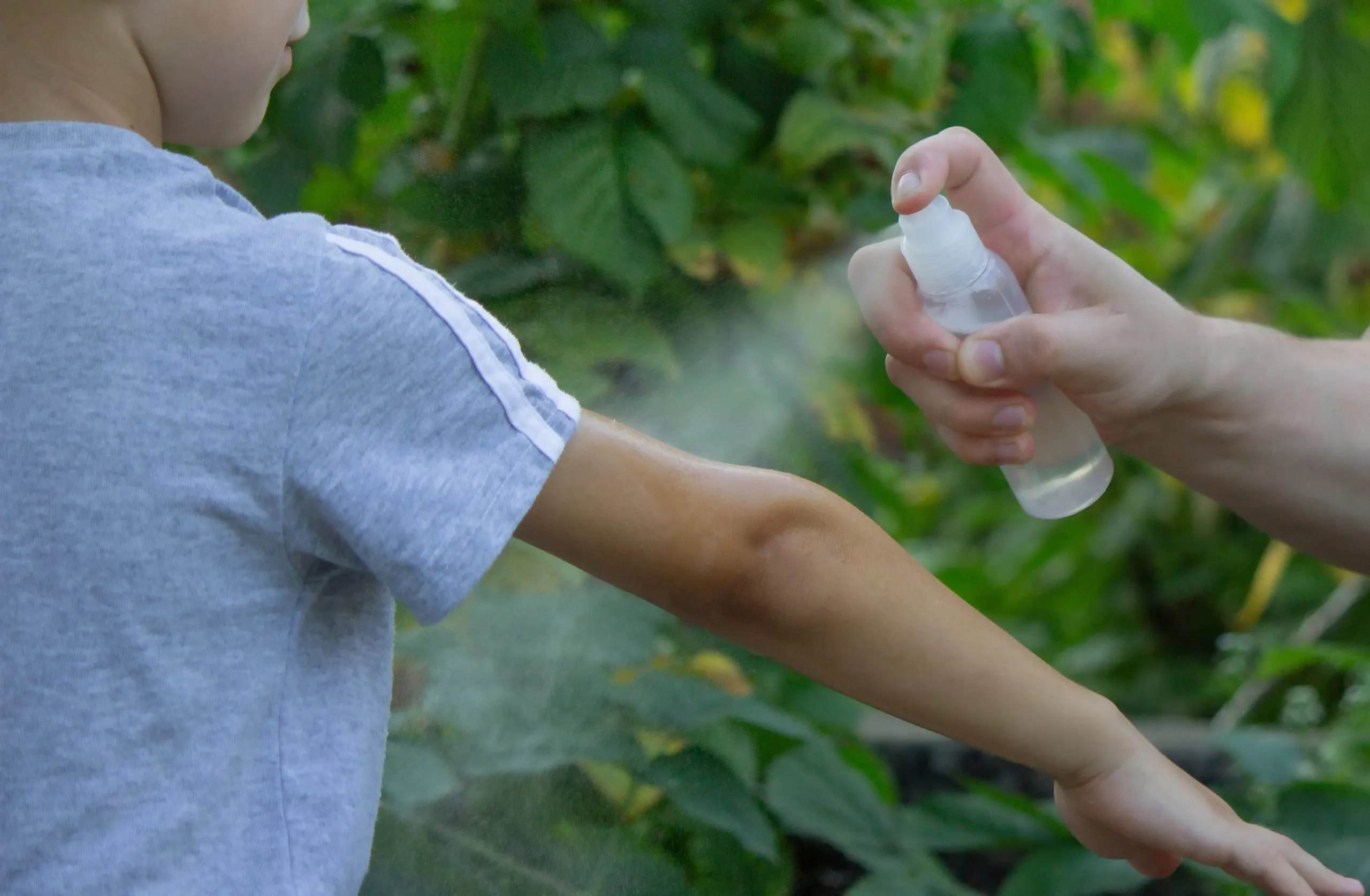 Philippines Insect Repellent Market Outlook to 2035 Philippines-Insect-Repellent-Market-scaled