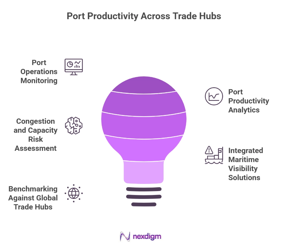 Port Productivity Across Trade Hubs