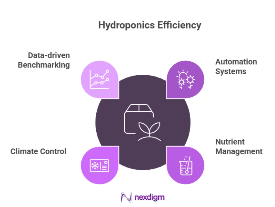 Resource-Efficient Hydroponics Solutions