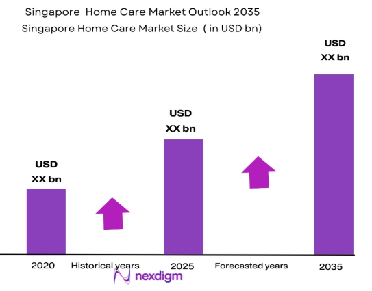 Singapore home care market size