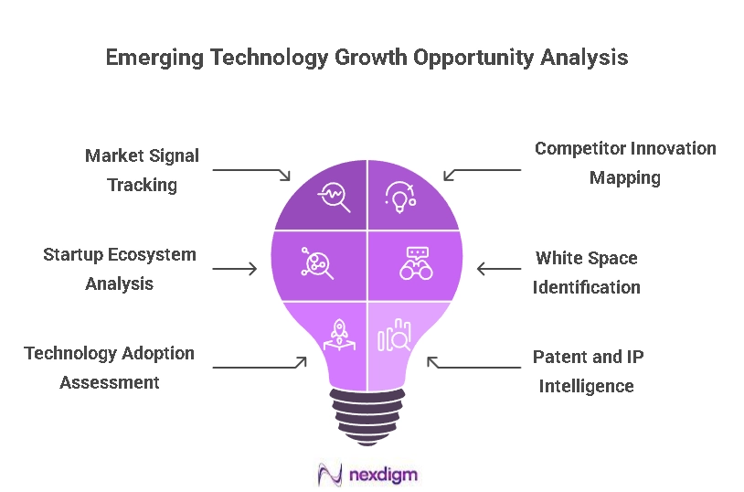 Technology Opportunity Analysis