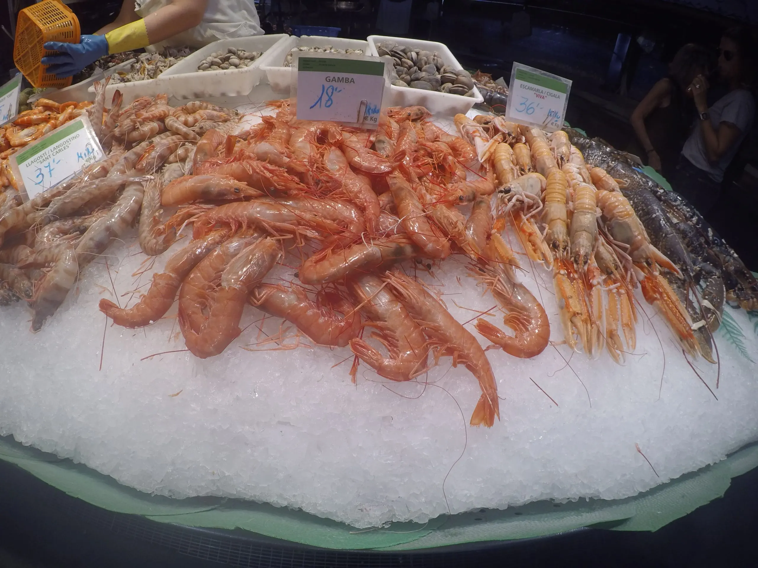 UAE Frozen Seafood Market Outlook to 2035 UAE-Frozen-Seafood-Market-scaled