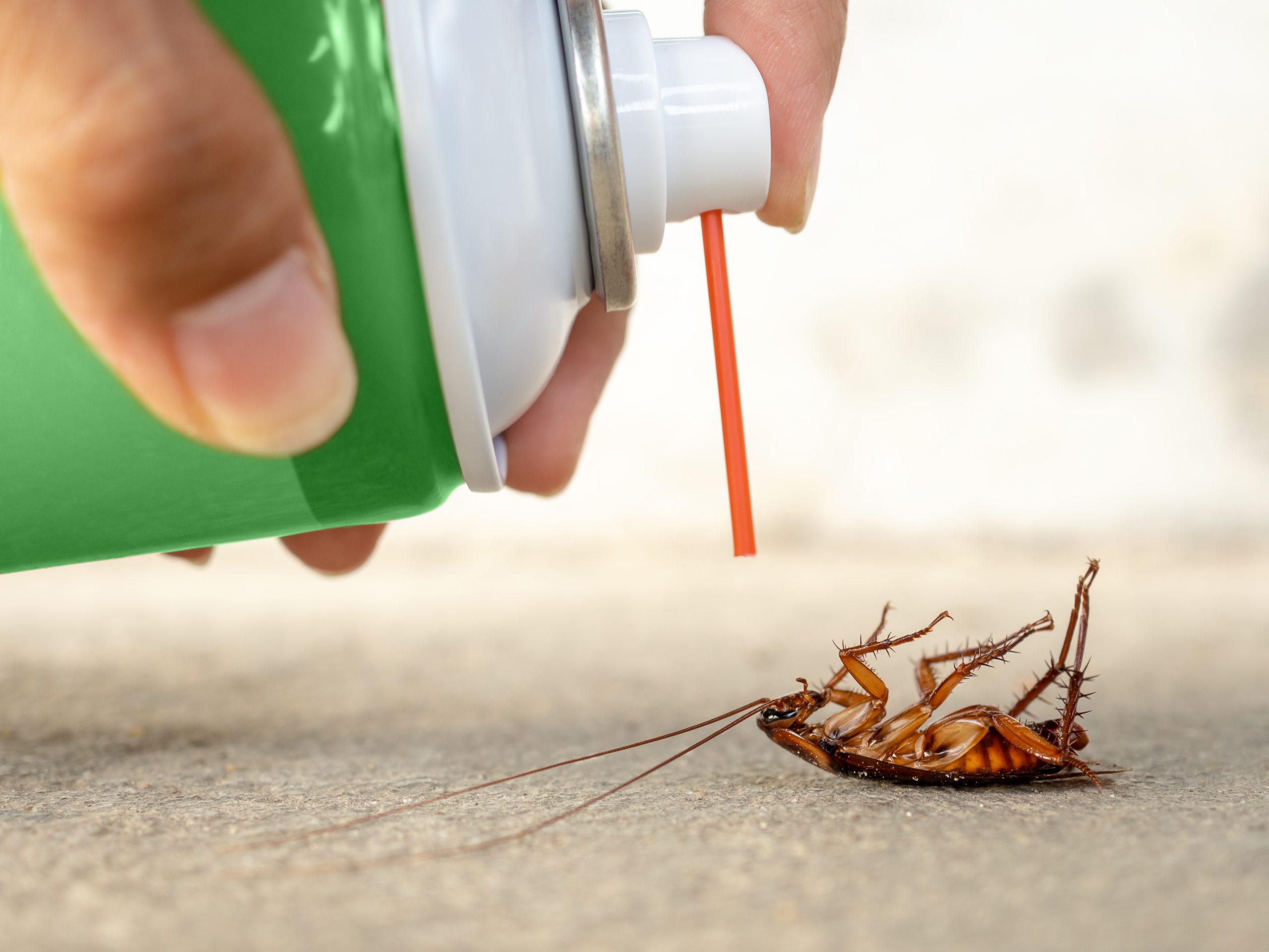 USA Insect Repellent Market Outlook to 2035 USA-Insect-Repellent-Market-scaled