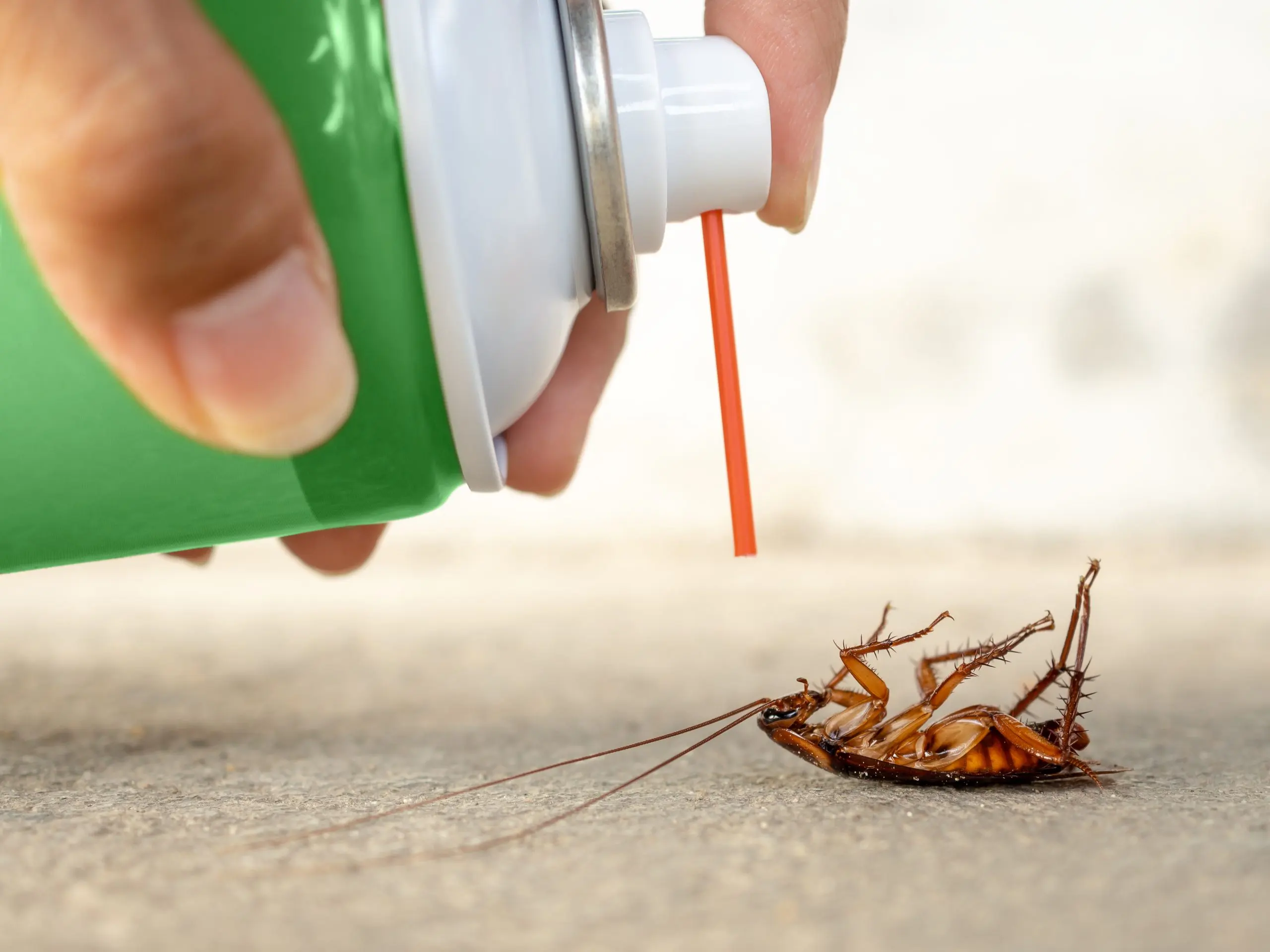 USA Insect Repellent Market Outlook to 2035 USA-Insect-Repellent-Market-scaled
