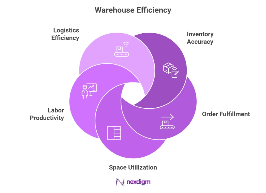 Warehouse Efficiency Benchmarking