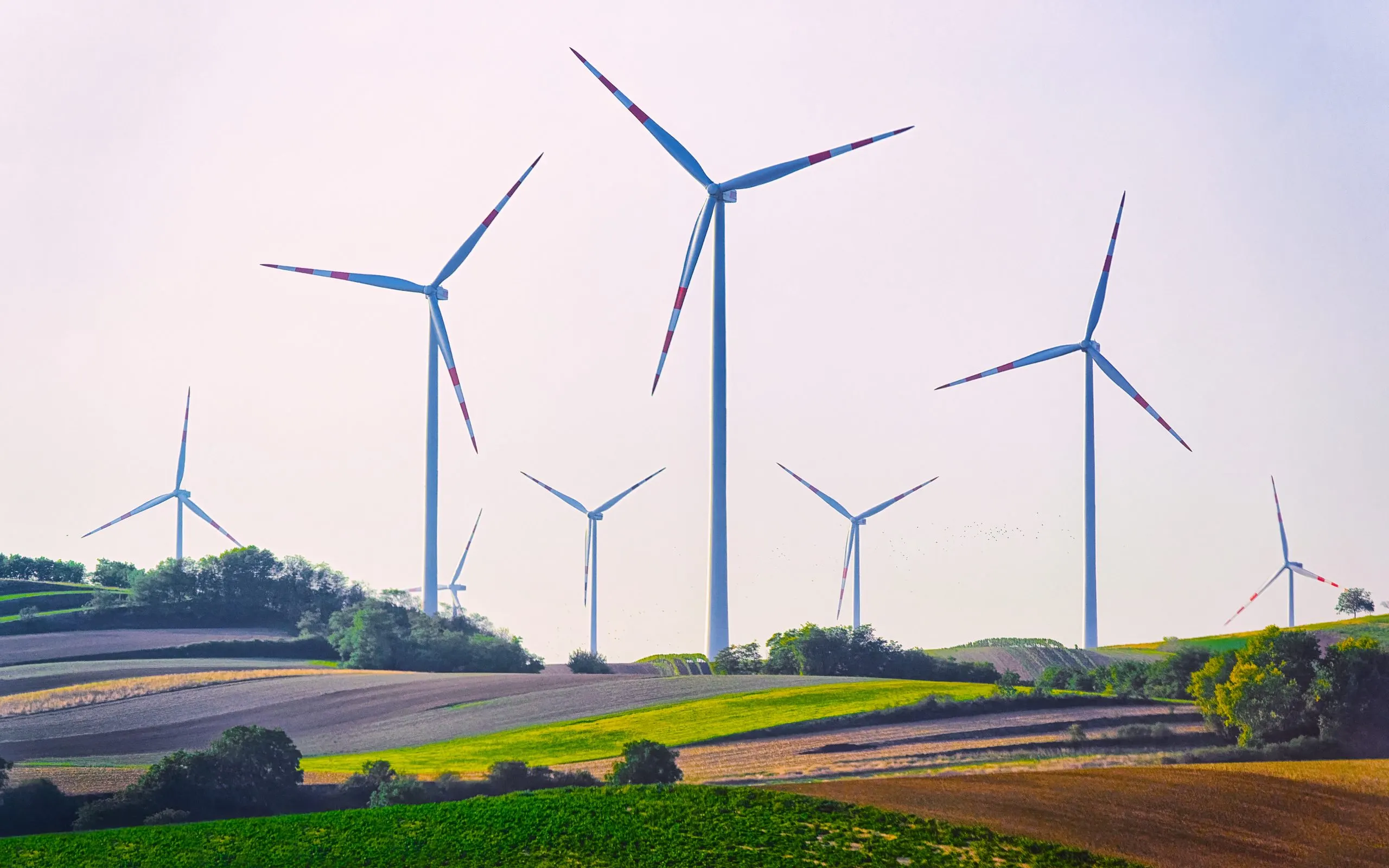 Growth of Wind Energy in Singapore Driven by Regional Integration and Renewable Initiatives Wind-Energy-Industry-1-scaled