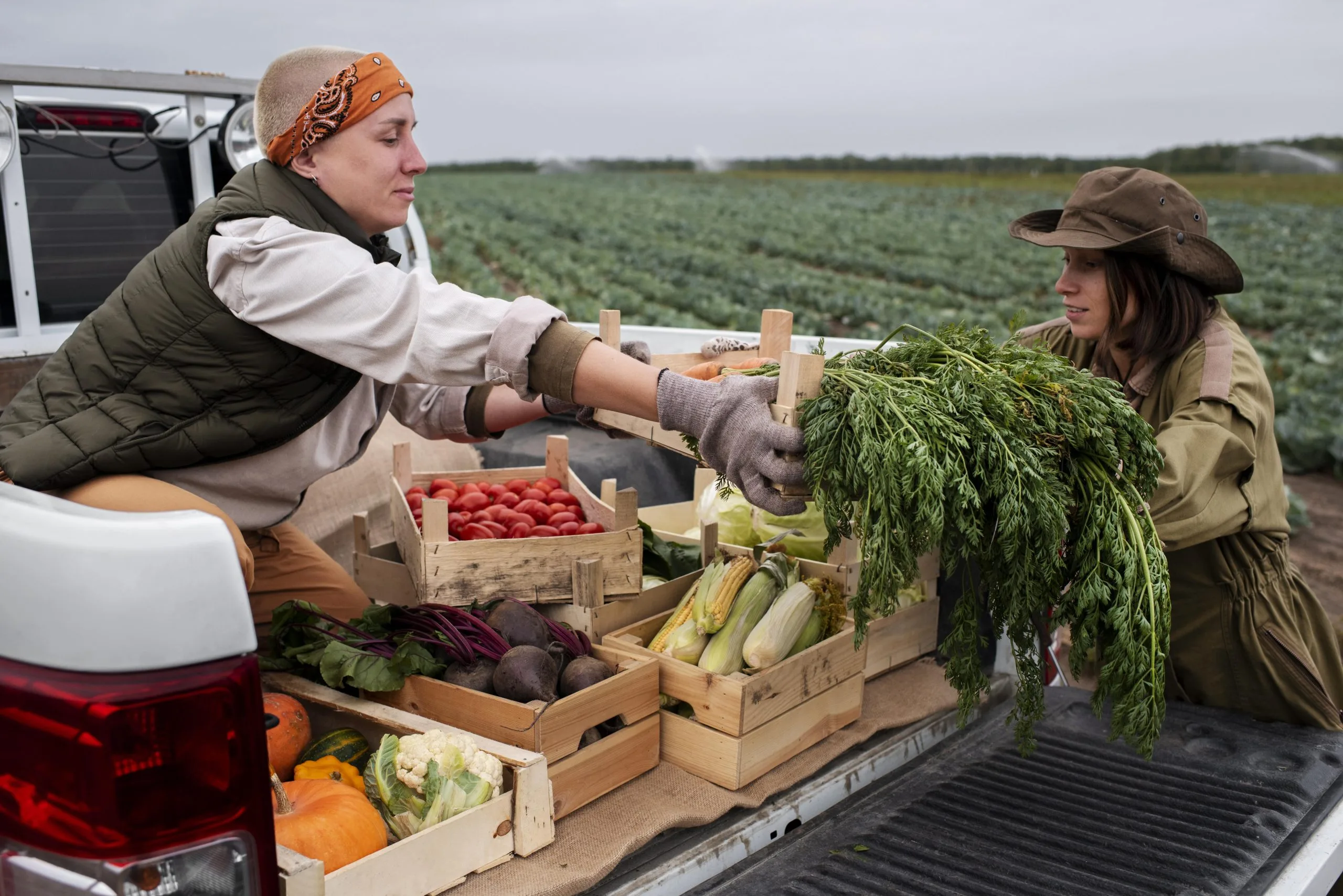 Evaluating Export Competitiveness Across Global Agricultural Trade Markets agriculture-export-competitiveness-scaled