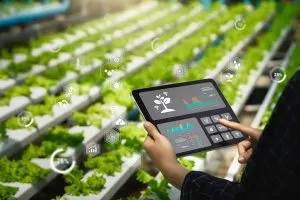 Benchmarking IoT Adoption Across Farms Improving Resource Efficiency and Monitoring