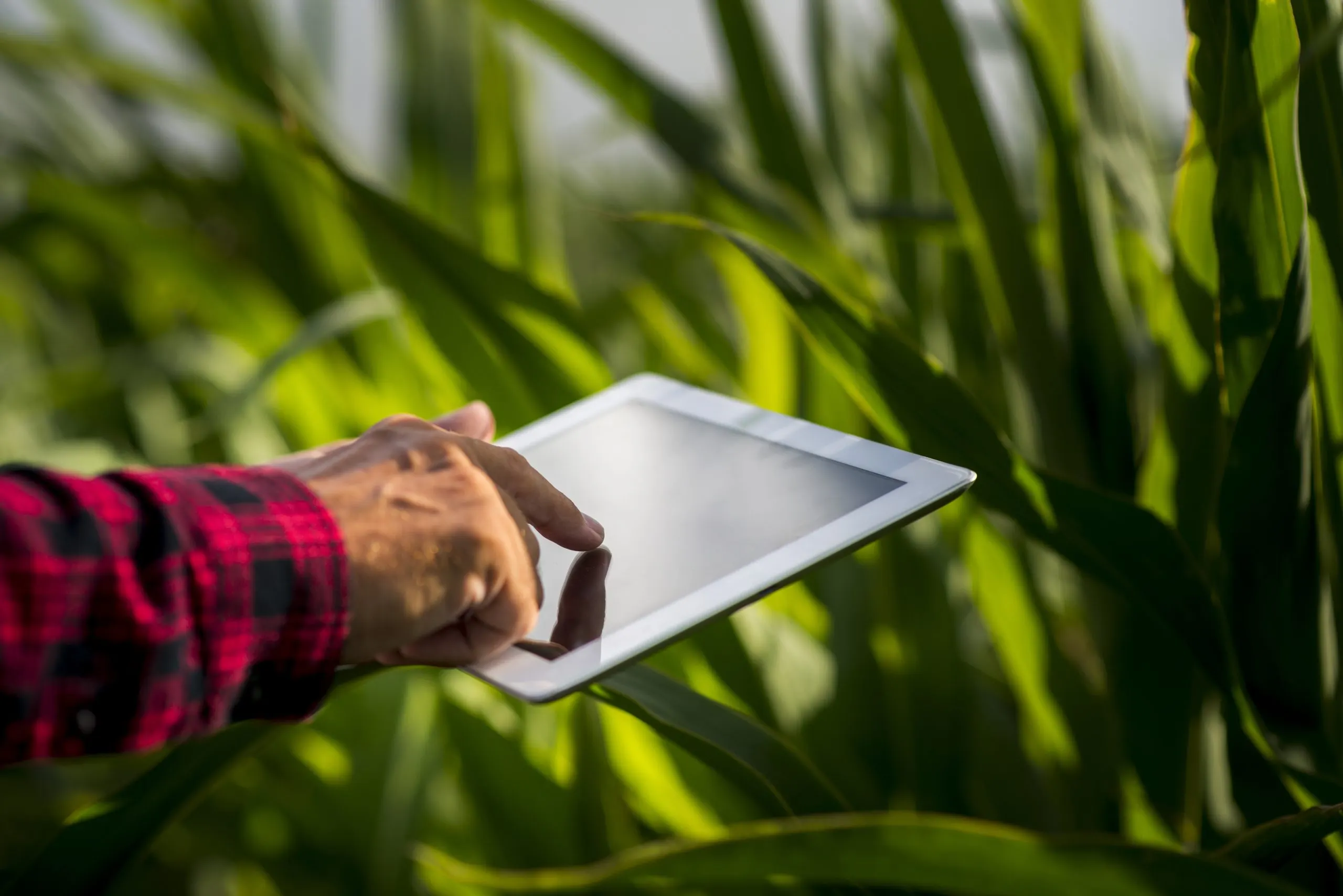 Benchmarking Operational and Financial Performance Across Agriculture Businesses agriculture-performance-benchmarking-scaled