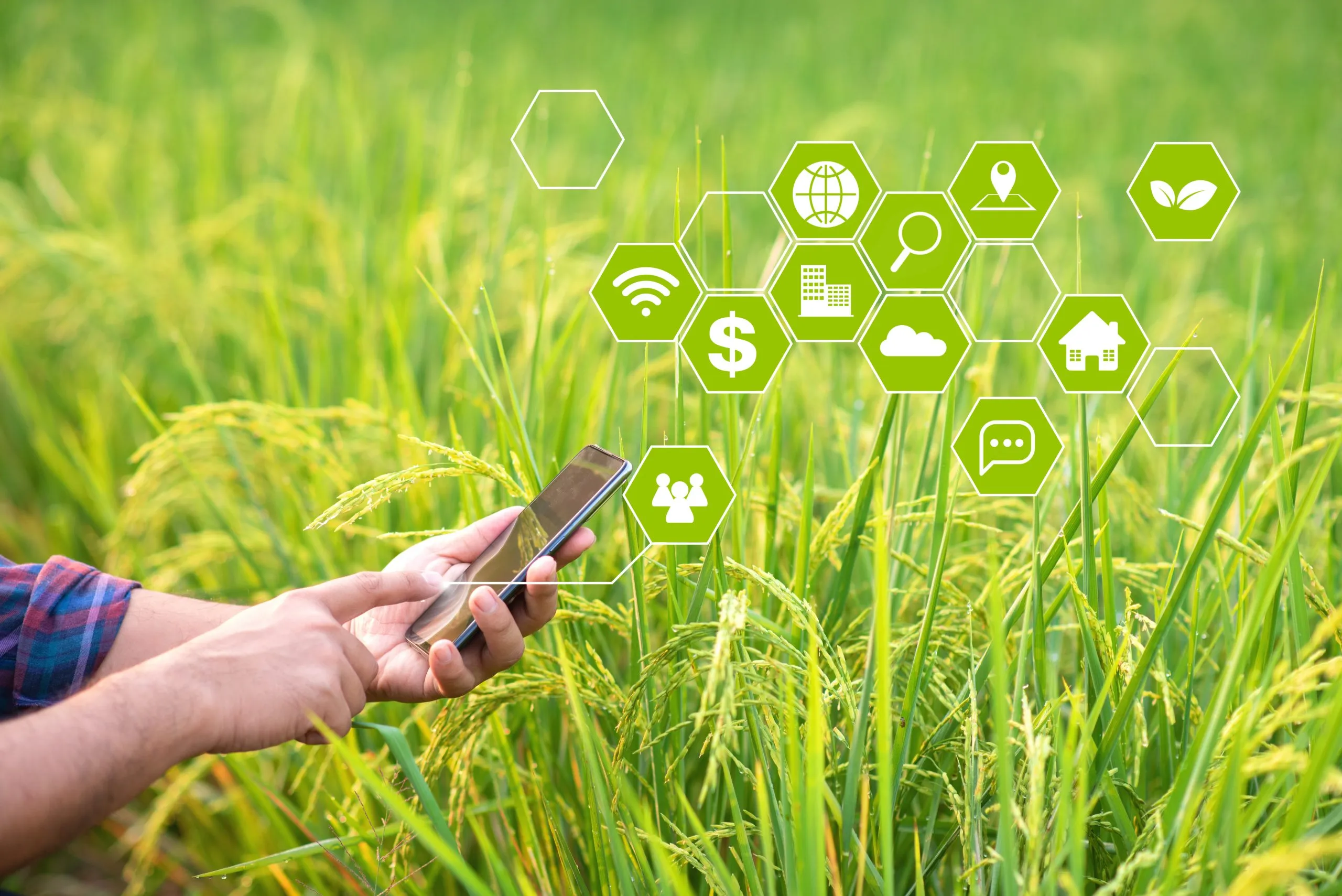 How Pricing Intelligence Helps Navigate Commodity Volatility in Global Agriculture Markets agriculture-pricing-intelligence-scaled