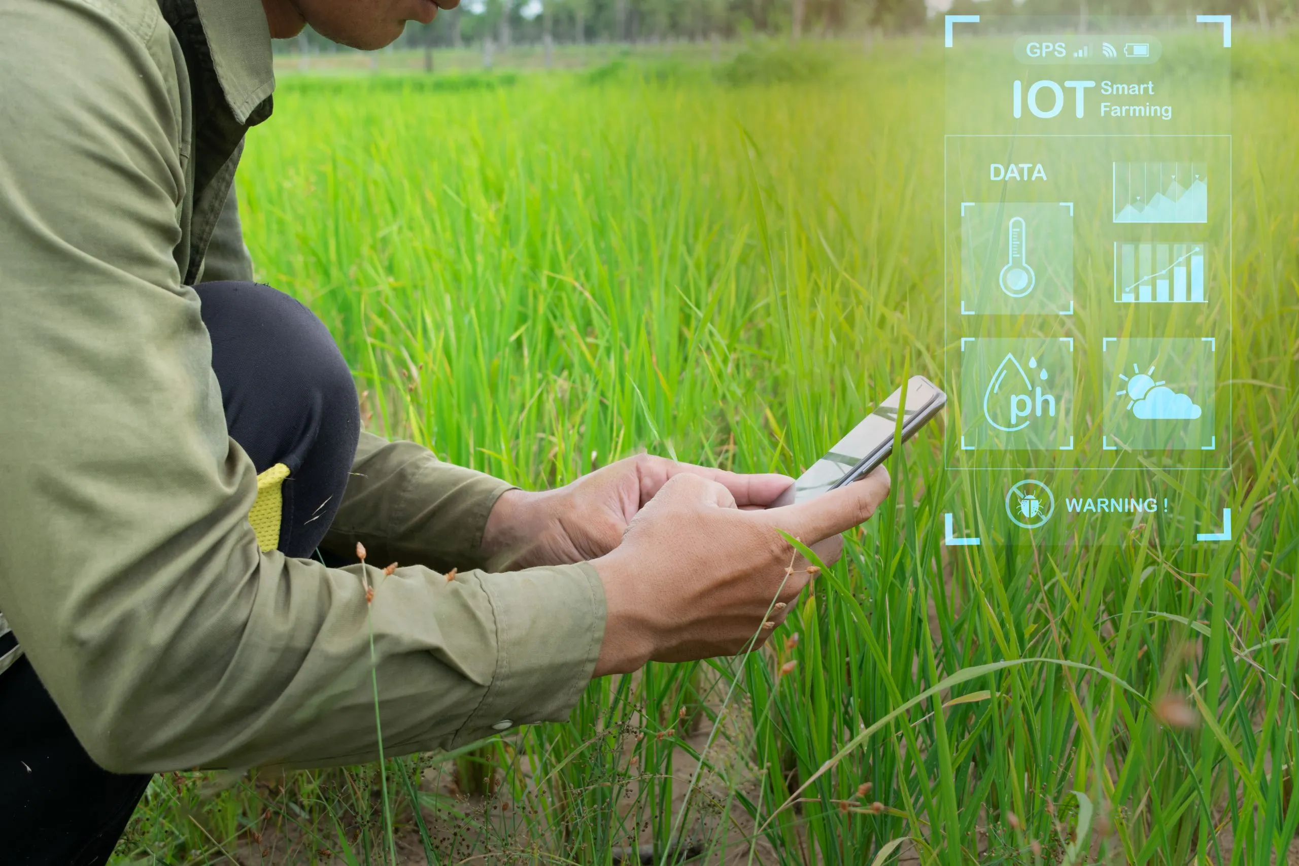 How AI Improves Crop Monitoring and Predictive Decision Making Across Agriculture ai-in-agriculture-benchmarking-scaled