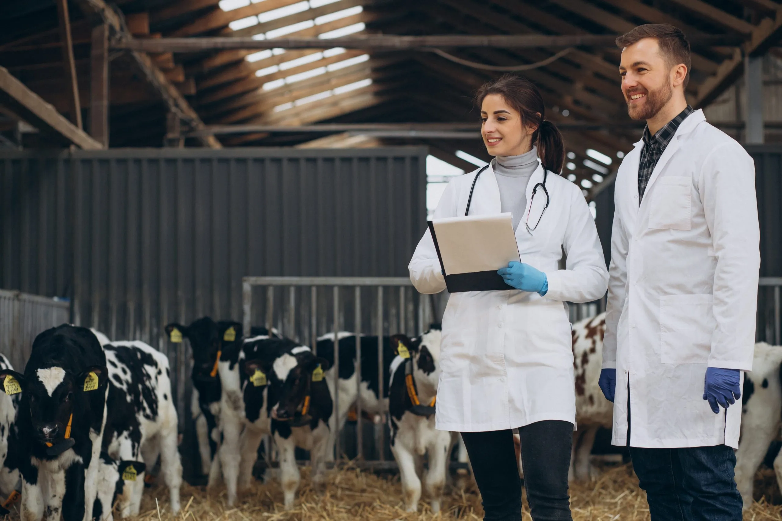 Animal Feed Markets Grow with Expanding Livestock and Aquaculture Demand animal-feed-market-analysis-scaled