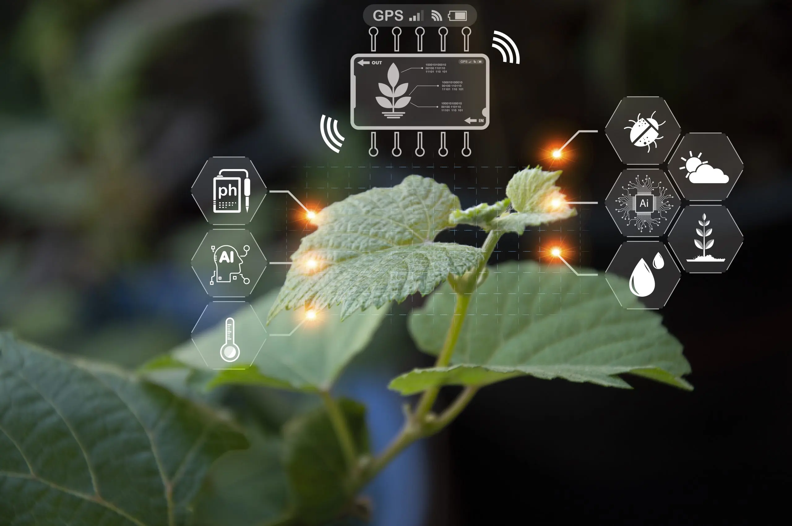 Cold Chain Investments Expand to Reduce Food Losses Across Perishable Categories cold-chain-agriculture-intelligence-scaled