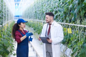 Benchmarking Cold Chain Efficiency Across Agricultural Distribution Networks