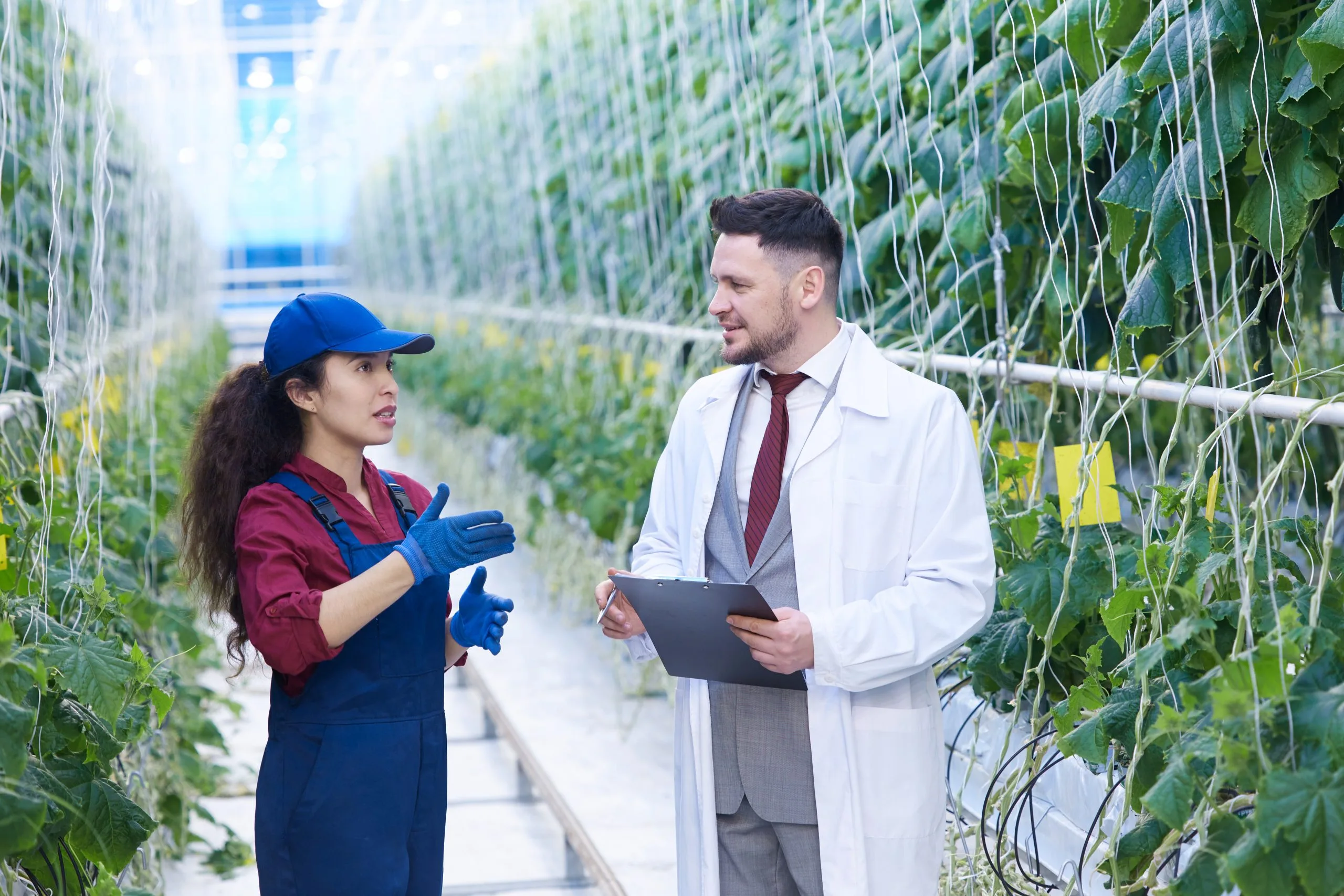 Benchmarking Cold Chain Efficiency Across Agricultural Distribution Networks cold-chain-in-agriculture-benchmarking-scaled
